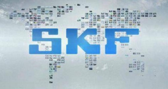 skf eren rulman